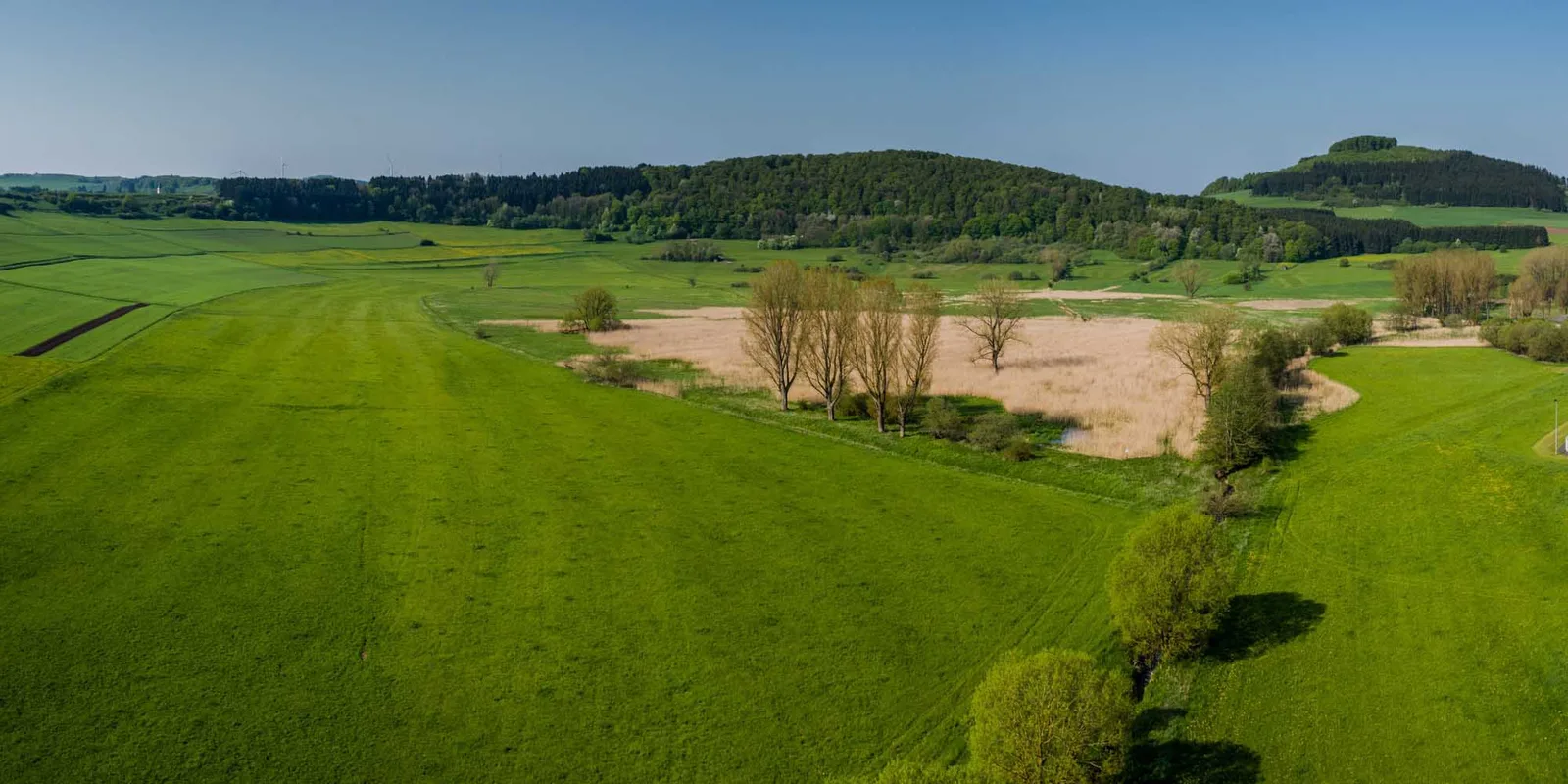 Luftbild des Dreiser Weihers, ein Maar mit Wasserfläche und Wiesen in der Vulkaneifel