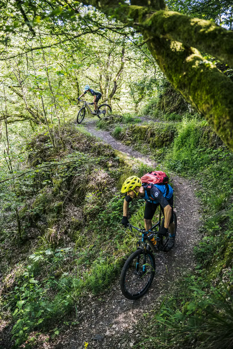 Mountainbiker auf einem schmalen Waldtrail im Trailpark Vulkaneifel, ein zweiter Fahrer folgt auf der Kehre darüber